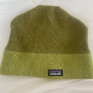 Patagonia Men’s Beanie Hat Fun Hog in Green